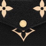 Louis Vuitton Félicie Pochette Gray M69977 Black M80482