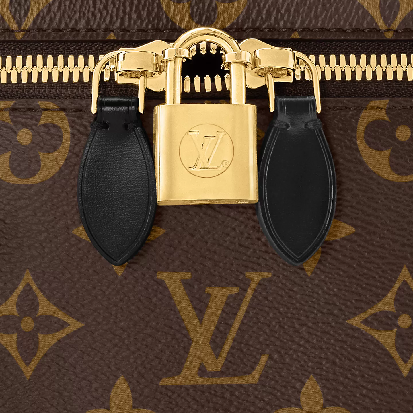Louis Vuitton M45165 Vanity PM Monogram Louis Vuitton M45165 Vanity PM Monogram