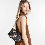 Louis Vuitton M45777 Multi Pochette Accessoires
