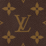 Louis Vuitton M46234 Speedy Bandoulière 20