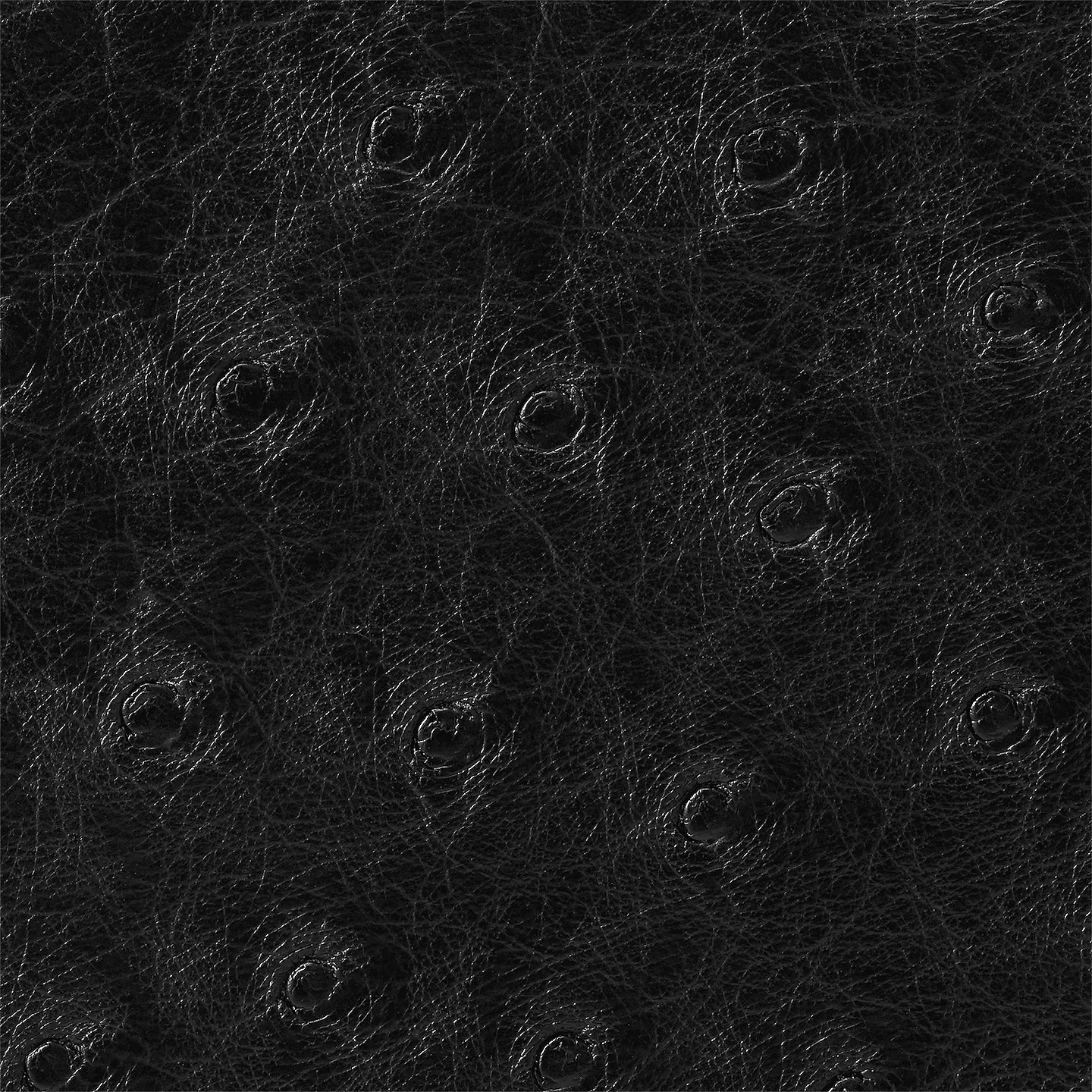 Louis Vuitton Black N94705 Multiple wallet Louis Vuitton Black N94705 Multiple wallet