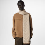 Louis Vuitton Beige M77986 Néo Petit Damier Scarf