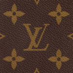 Louis Vuitton Monogram M44873 Palm Springs Mini