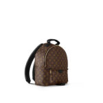 Louis Vuitton Monogram M44874 Palm Springs MM