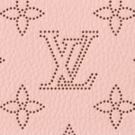 Louis Vuitton Rose Jasmine M82755 Zippy Wallet