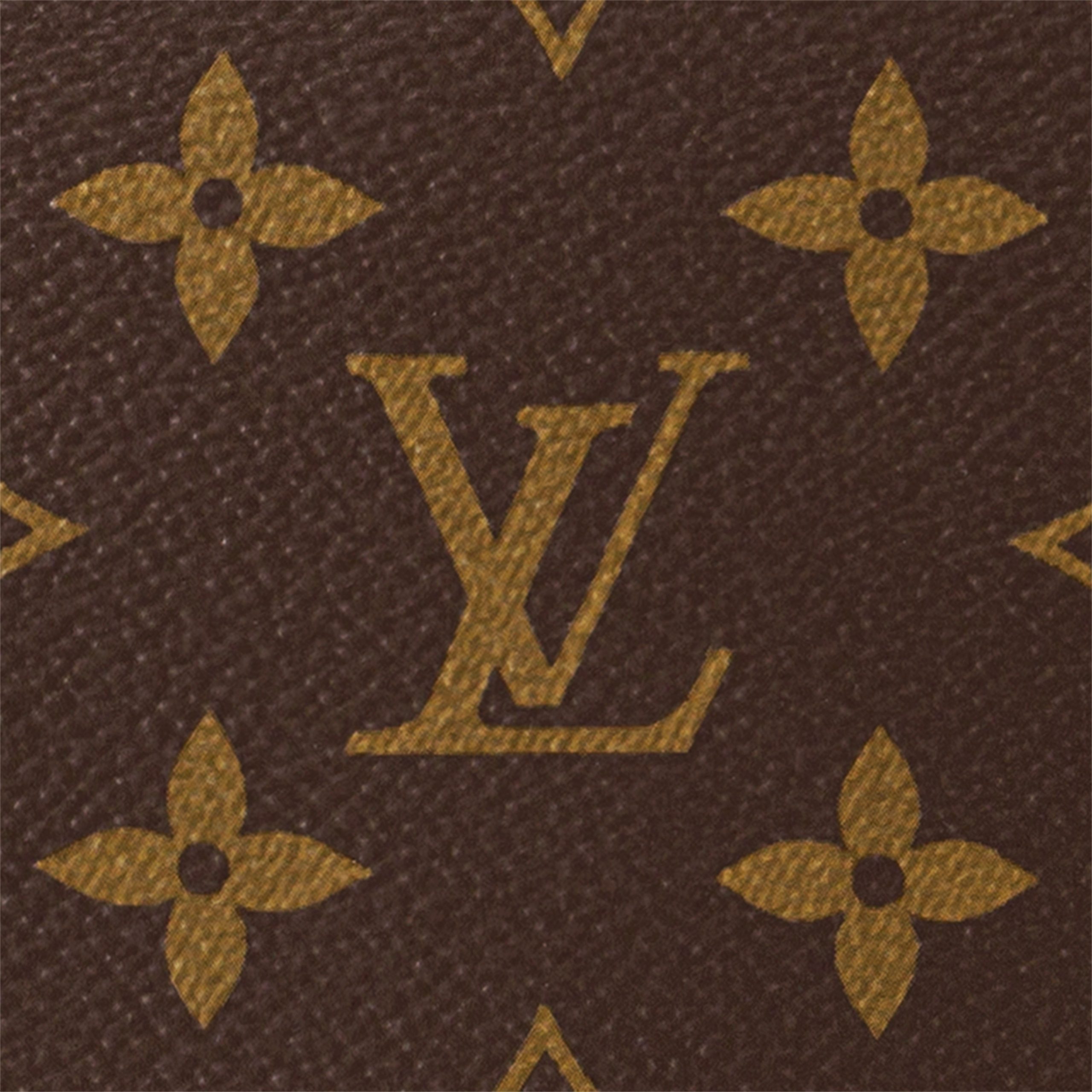 Louis Vuitton M46311 Loop Hobo Monogram Louis Vuitton M46311 Loop Hobo Monogram