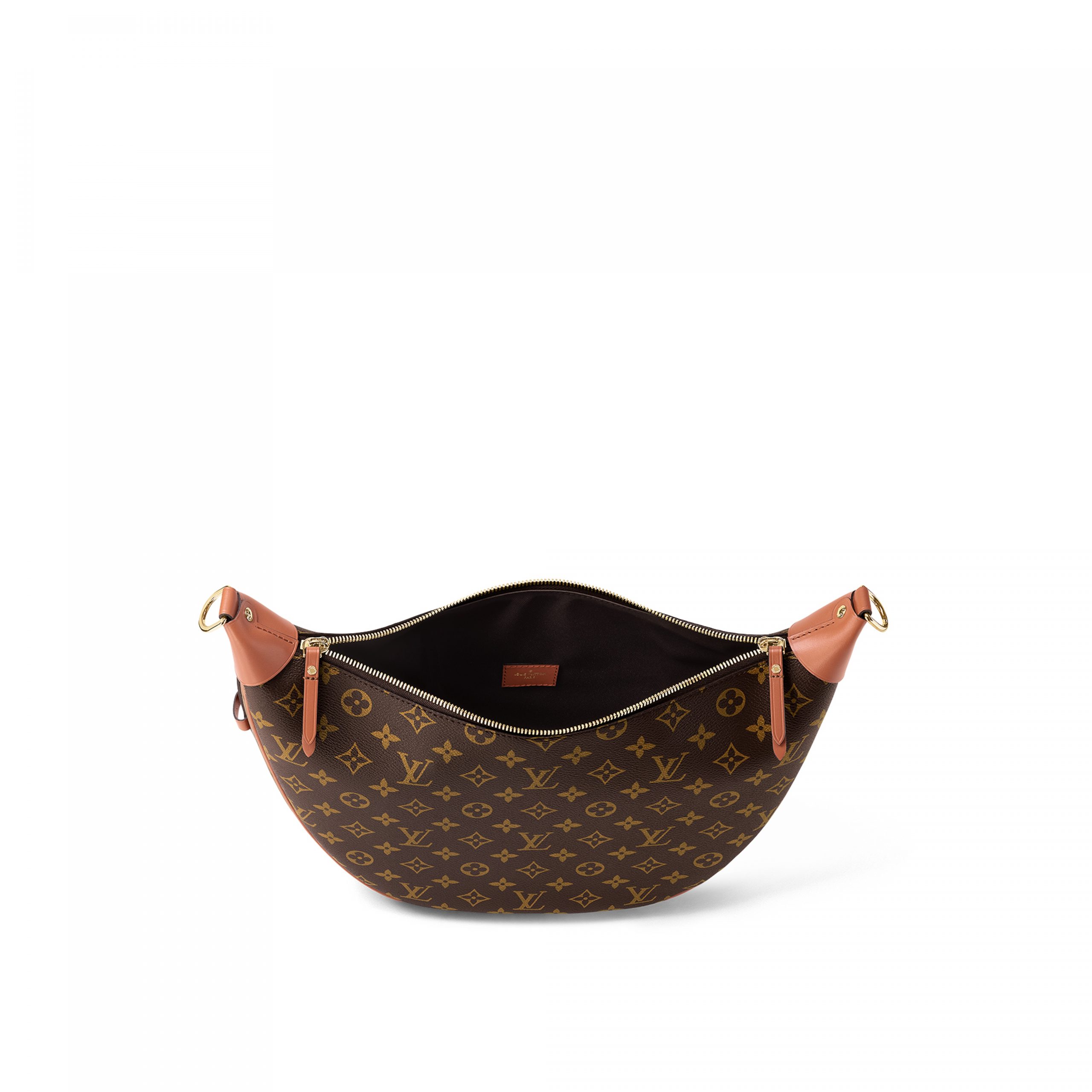 Louis Vuitton M46311 Loop Hobo Monogram Louis Vuitton M46311 Loop Hobo Monogram