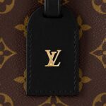 Louis Vuitton Petite Malle Souple M45571