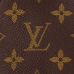 Louis Vuitton M47132 Alma Backpack Monogram