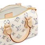 Louis Vuitton M24709 Speedy Bandoulière 20 Multicolor Beige