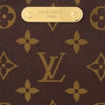 Louis Vuitton Monogram M83008 Liv Pochette