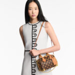 Louis Vuitton M28102 Speedy Trunk 20 Monogram Origine