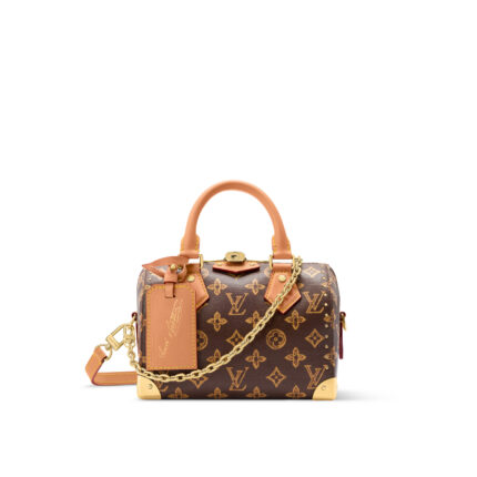 Louis Vuitton M28102 Speedy Trunk 20 Monogram Origine