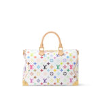Louis Vuitton M27789 LV x TM Speedy Soft 30